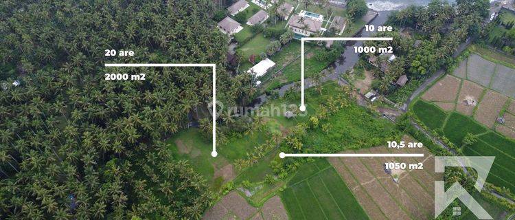 Beachside Land For Sale Freehold In Jasri Karangasem Bali 1