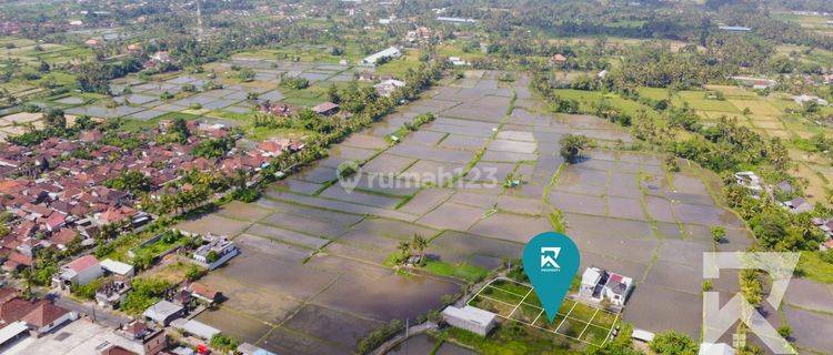 Small Land Plot Lot In Blahbatuh Gianyar Bali For Sale Freehold 1