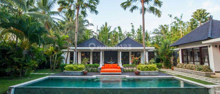 Tranquil 3 Bedroom Villa In Ubud For Sale Leasehold 1