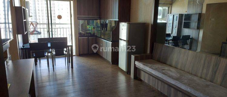 Apartement Mediterania Garden Residence 2 (Tanjung Duren) 3 BR Furnished Bagus 1