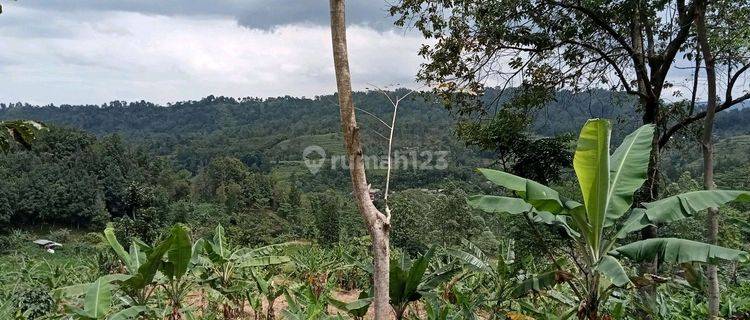 Dijual Tanah Di Karang Tengah Sentul Bogor Harga Di Bawah Njop 1