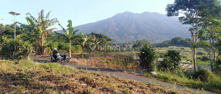 Dijual Tanah Di Kp Tangkil Desa Cisaat Kec Cicurug Kab Sukabumi 1