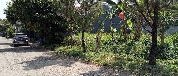 Dijual Tanah Kavling Di Griya Alam Sentul  1