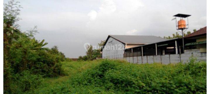 Tanah di Weleri Kendal Cocok Dibangun Untuk Gudang 1