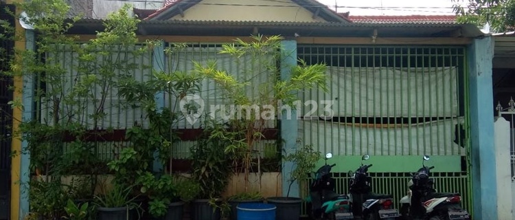 RUMAH 3 LANTAI TLOGOSARI RAYA 1