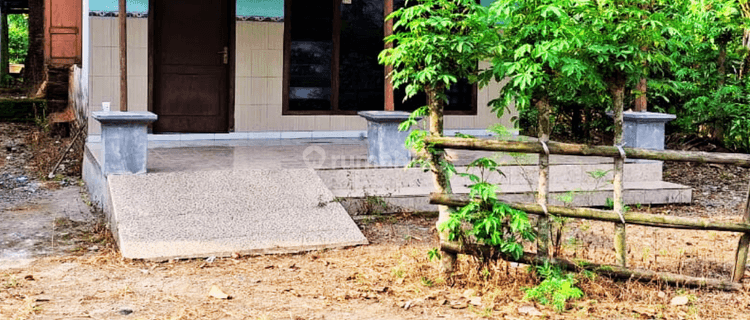 Dijual Tanah SHM Dekat Kampus Uin Satu Tulungagung 1