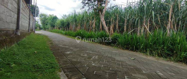 Dijual Tanah Lokasi Strategis di Tulungagung Dekat Uin Sayyid Ali Rahmatullah 1