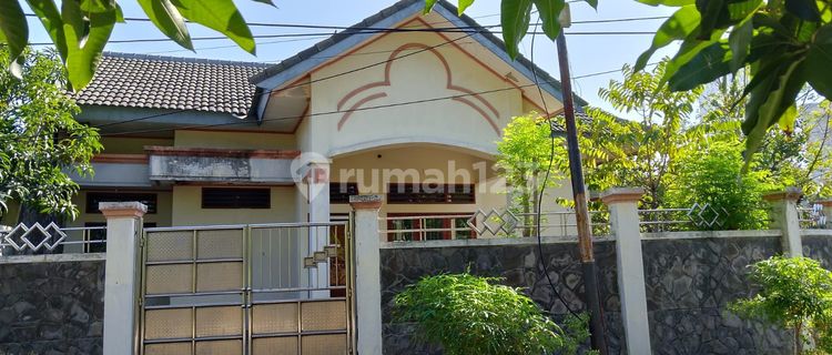 Price Drop Again!! Quick Sale!! Old House, Land Price Only, Panjang Jiwo Permai Street, Surabaya 1