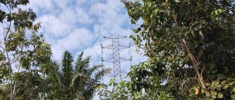 Dijual Tanah 100 Ha Dekat Sutet di Babulu Darat, Penajam Paser Utara 1