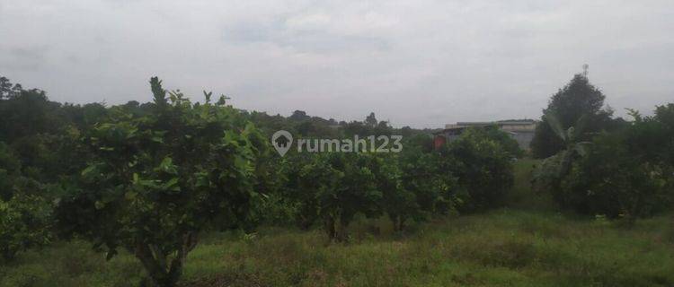 Dijual Tanah Lt 2.772 M2 di Km 13 Kariangau, Balikpapan Rh 1