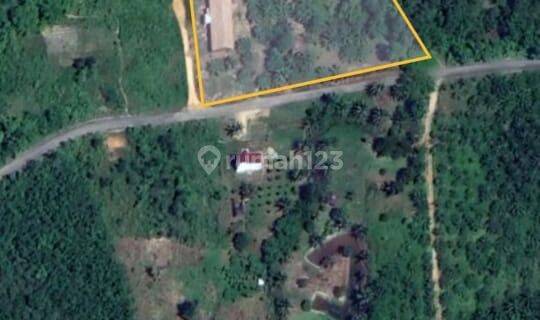 Dijual Tanah 2,1 Ha di Maridan Penajam Paser Utara, Penajam Paser Utara 1