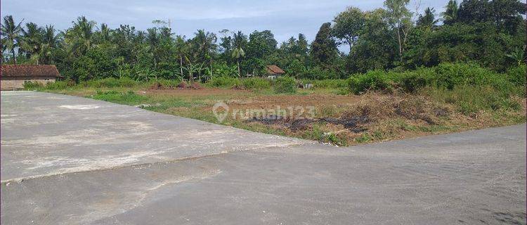 Tanah Dekat Pintu Tol, Ngompol purworejo, Shmp 1