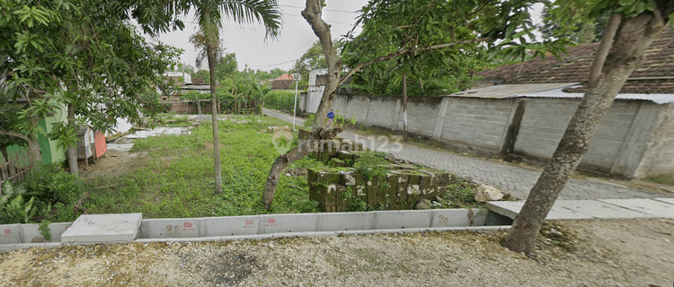 Harga Nego, Jual Tanah Sumberrejo, 400 M Dari Jl. Provinsi 1