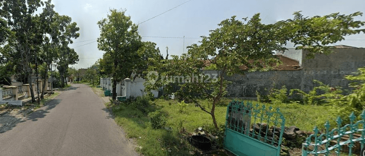 500 M Kampus Ikip Bojonegoro, Jual Tanah SHM Luas 325 M Ld 10 M, Layak Kost 1