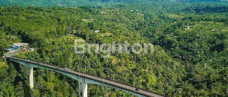 Tanah 30 Are di Plaga Dekat Kintamani 1