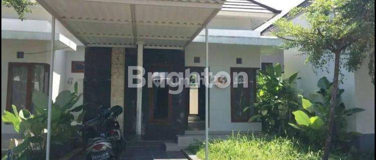 Rumah Minimalis Di Perumahan Gtiya Koka Tabanan 1