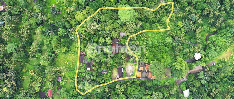 Tanah View Hutan Dan Sungai Dekat Ubud Gianyar 1