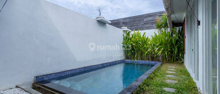 MINIMALIST VILLA IN THE MANGROVE AREA 1