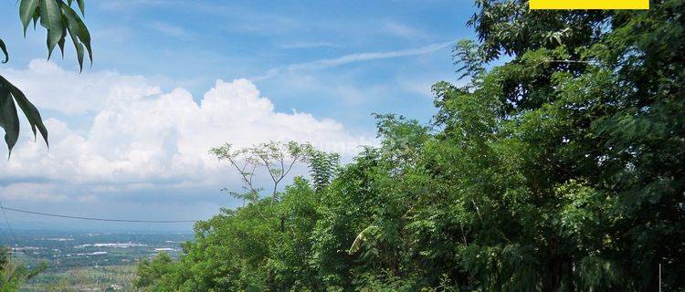 Disewakan Tanah Strategis di Ds Ngembal Kec Tutur Kab Pasuruan 1