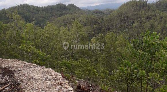 lahan wisata 3 ha di pacitan di jl pacitan goa gong 1