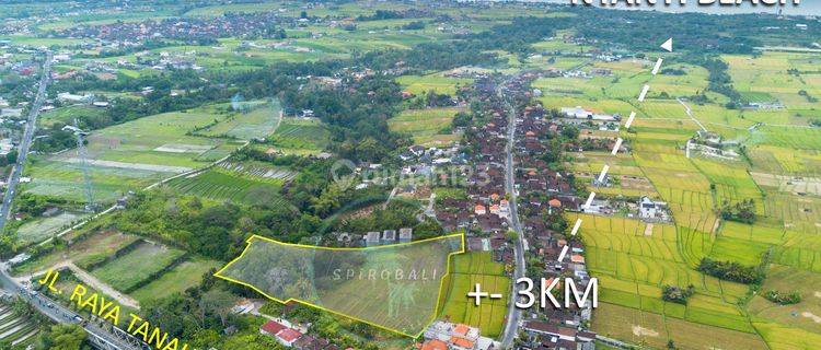 Jual Tanah Hak Milik 1 Ha di Pantai Nyanyi Beraban Tabanan Bali 1