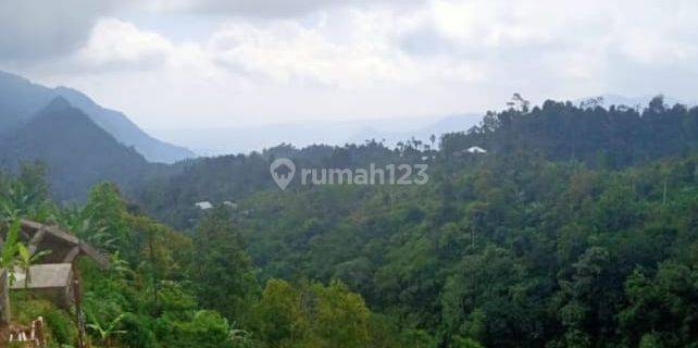 Dijual Tanah 6.5 Ha Pemandangan Sungai Dan Pegunungan Buleleng  1