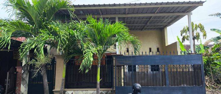 Rumah asri cluster dekat bandara Adi Soemarmo 1