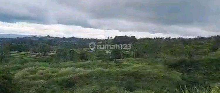 Tanah Bagus Cigombong, Kabupaten Bogor,jawa Barat 1