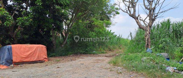 Tanah Bagus Di Kresek, Desa Kemuning,Tangerang, Banten 1