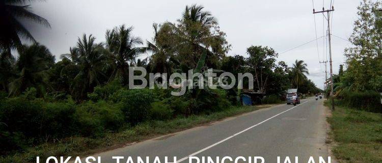 TANAH DI WARU PENAJAM PASER UTARA 1