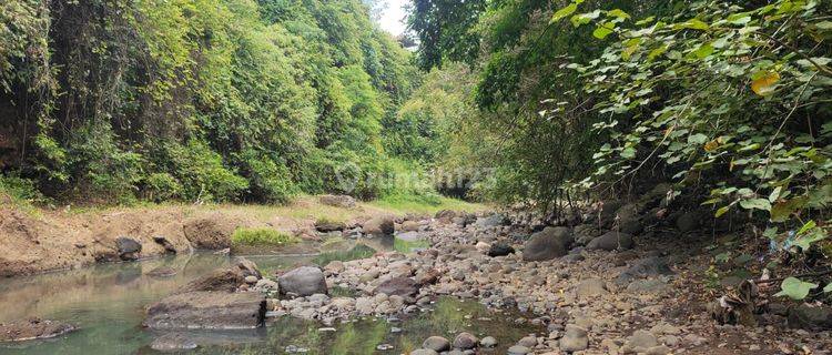 Tanah kebun los sungai view sawah 100 meter dari pantai 1