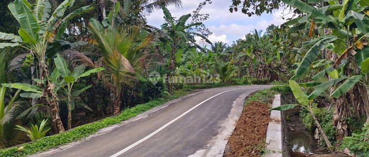 Tanah luasan kecil,view sawah harga terjangkau. 1