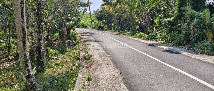  For sale is a small area of land with views of rice fields and riverbanks 1