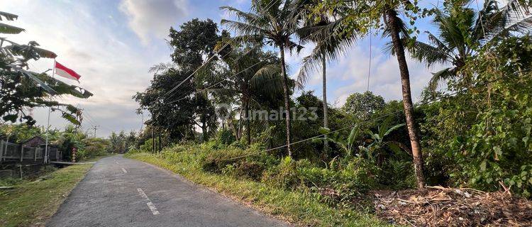 Tanah Kebun Luas Kecil Los Sungai View Sawah Di Tabanan Bali 1