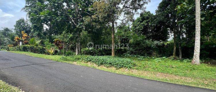 Jual Tanah Luas Kecil Harga 250 Juta Global Di Tabanan Bali. 1