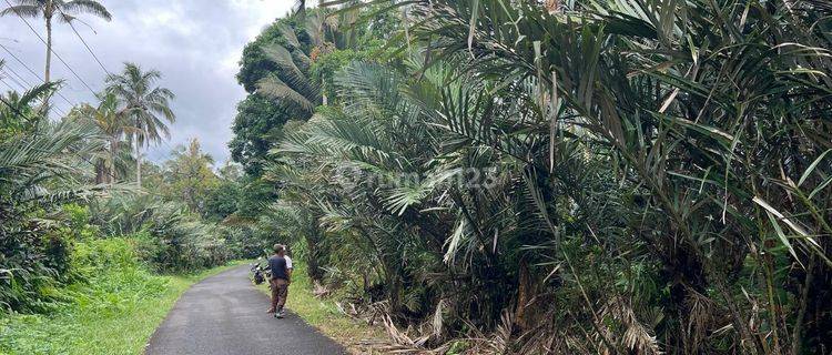 Di Jual Tanah Kebun Buah Area Villa Di Tabanan Bali 1