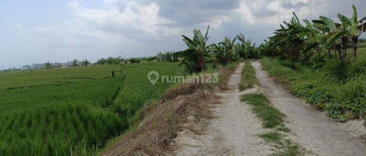 For Sale Land Near Pasut Beach, Tabanan, Bali. 1