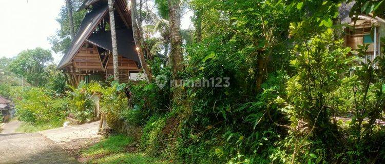 Selling Cheap Garden Land in Tabanan Bali. 1