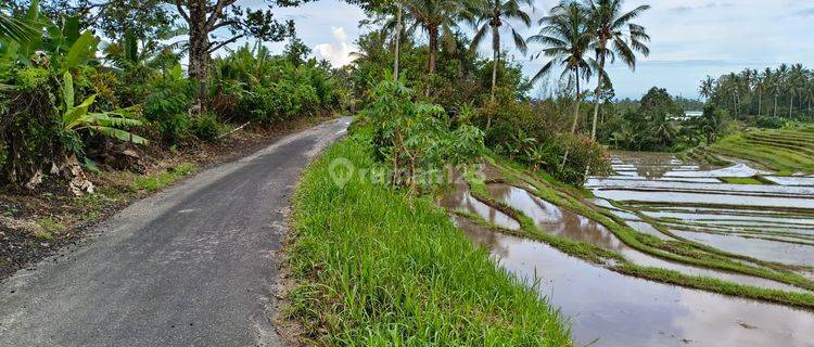 Jual Tanah Kebun Luasan Kecil View Sawah Terasering Di Tabanan Bali. 1