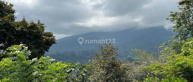 Tanah Buah View Gunung Dan Lembah Indah Di Tabanan Bali. 1