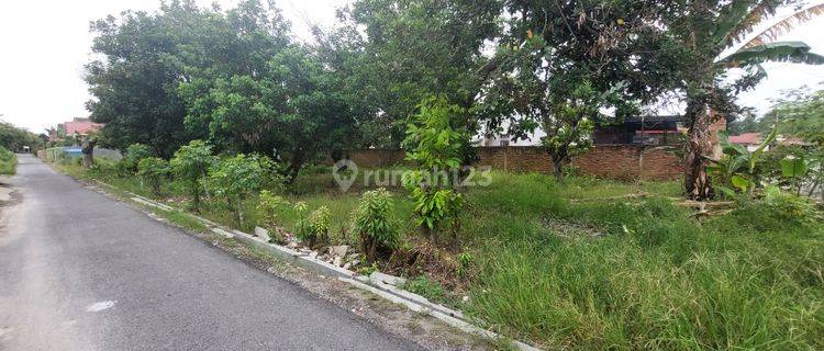 Tanah Murah Jl. Cut Nyak Dhien, Tanah Tinggi Dekat Stasiun.kereta Api Binjai 1
