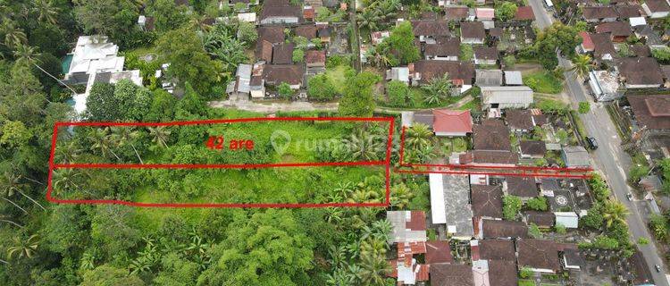  Di Jual Tanah di Ubud 4200m2 Pemandangan Sungai Petanu 1