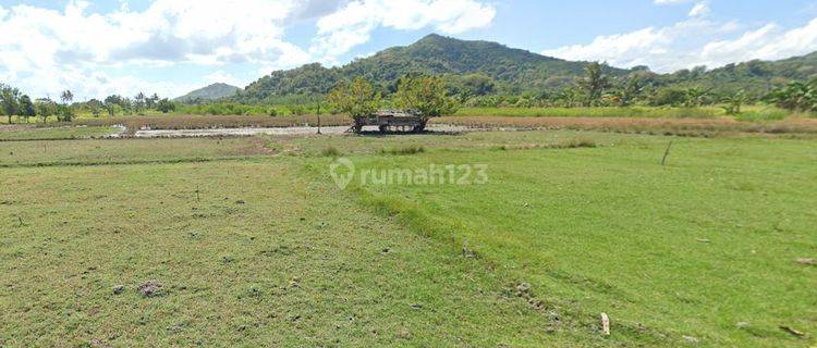 Tanah SHM Pinggir Pantai Sekotong, Luas 8 Hectare, Lombok Barat 1