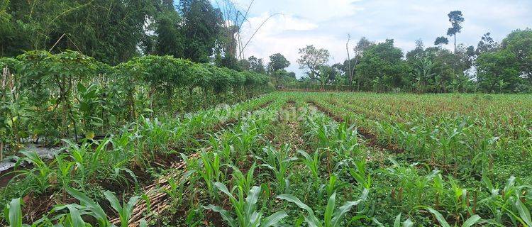 Jual tanah di Banyuresmi Garut stategis untuk Pertanian, bangun sekolah dll 1