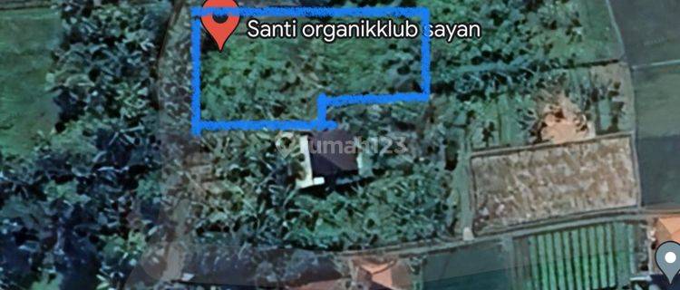 Lokasi Juara Tanah Dijual di Sayan Field Hak Milik 1