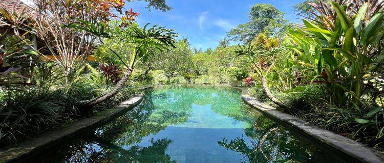 Scandinavian 2 Bedrooms Villa With Jungle View In Ubud Prime Area  1