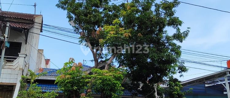 Rumah di Krakatau SHM Bagus dekat pusat kota Semarang timur 1