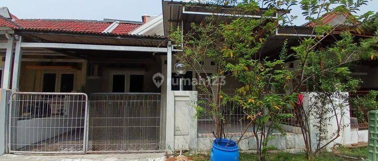 Rumah Kontrakan Di Oleander, Graha Padma Rst Lik 1