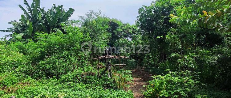 Tanah Genuk Cocok Untuk Invetasi Atau Bikin Kostan Deket Area Pabrik 1