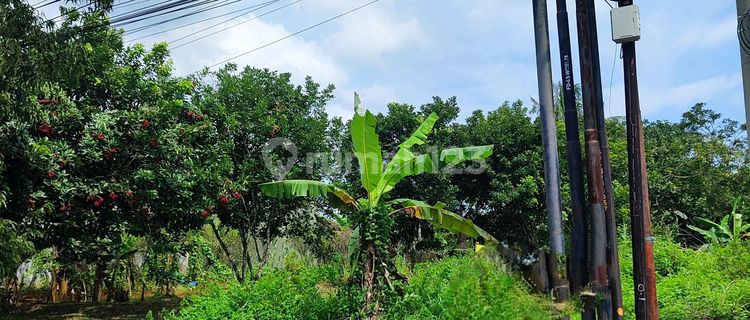 Land, Jalan Raya Position, Hook, Mount Pati 1